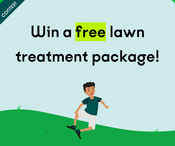 Win a free lawn treatment package